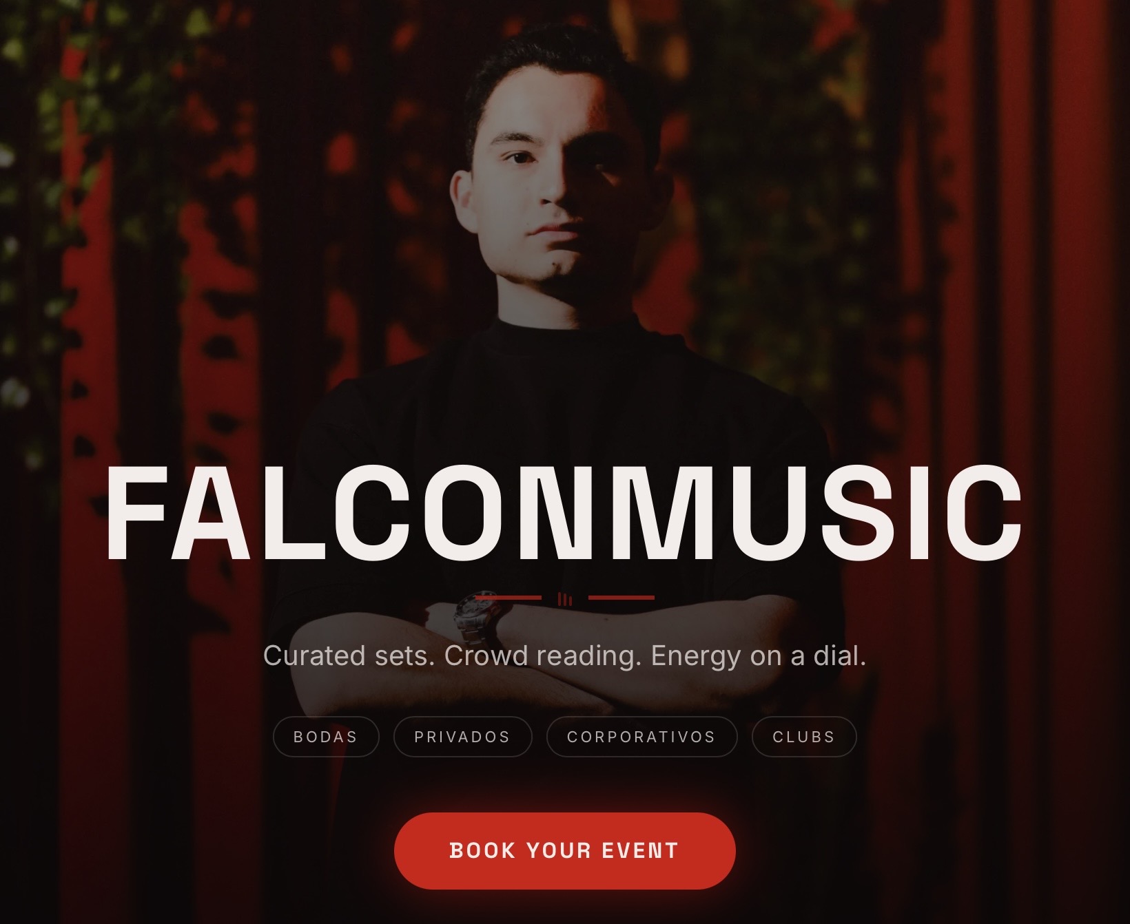 FALCONMUSIC — screenshot